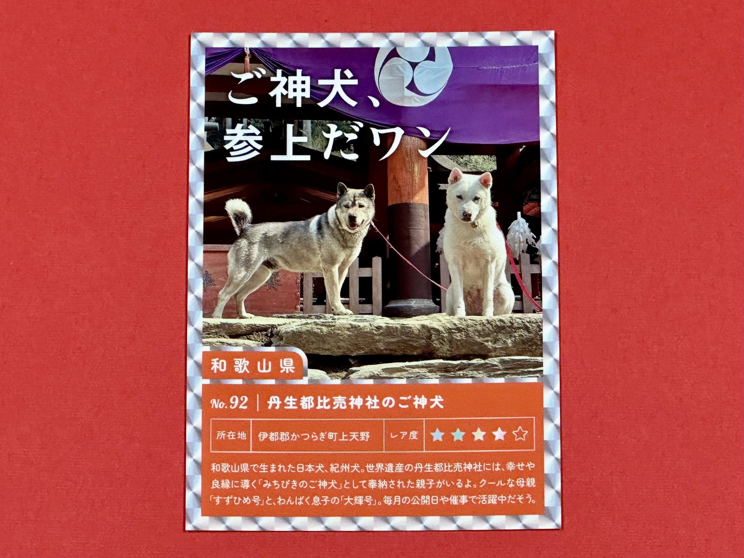 神社だよりのサムネイル